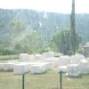 dsc00782